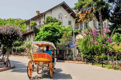 Full Day Princess Islands Tour (10:00-17:00)  