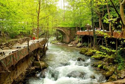 Full Day Sapanca Tour