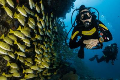 Antalya Scuba Diving Tour