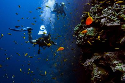 Antalya Scuba Diving Tour